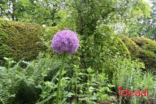 Pinksterweekend bij kasteel De Wildenborch Vorden - deel 2 (20-05-2024)