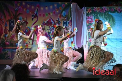 Carnaval in Sneppendorp - pronkzitting (14-02-2026)