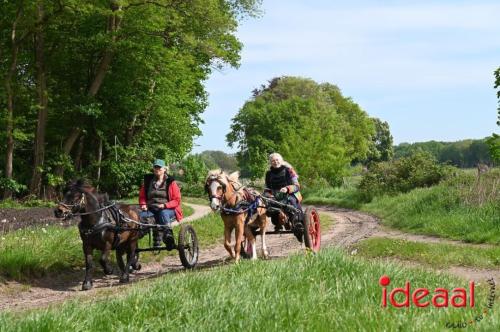 Barchemse Paarden meerdaagse (04-05-2024)