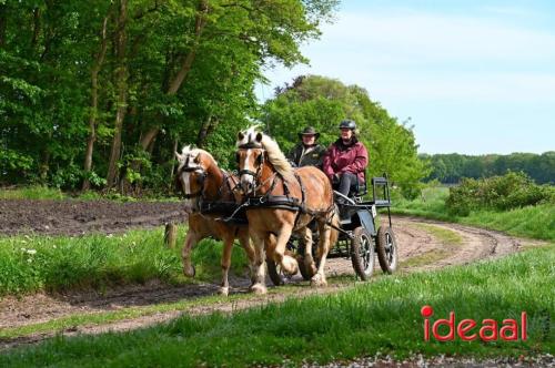 Barchemse Paarden meerdaagse (04-05-2024)