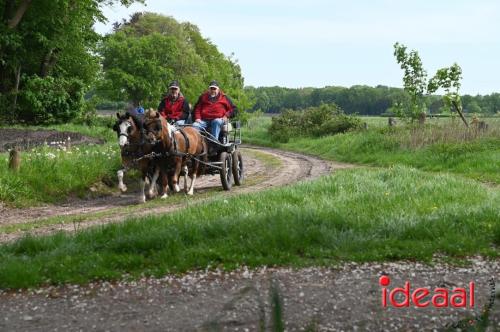 Barchemse Paarden meerdaagse (04-05-2024)