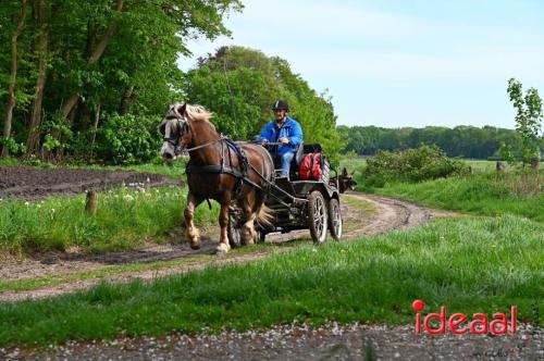 Barchemse Paarden meerdaagse (04-05-2024)