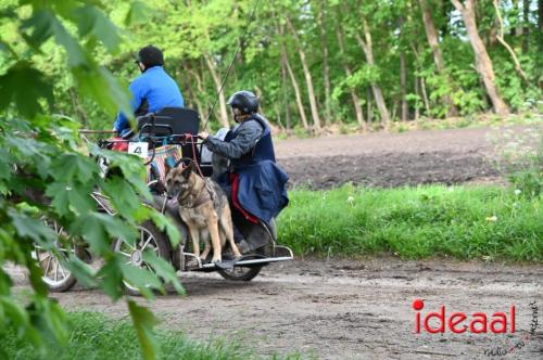 Barchemse Paarden meerdaagse (04-05-2024)