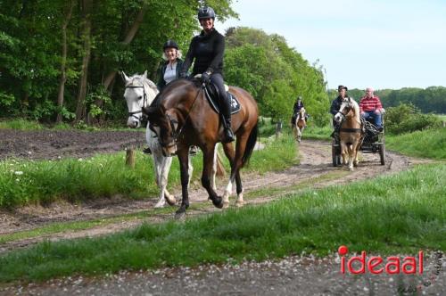 Barchemse Paarden meerdaagse (04-05-2024)