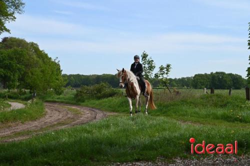 Barchemse Paarden meerdaagse (04-05-2024)