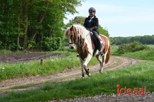 Barchemse Paarden meerdaagse (04-05-2024)