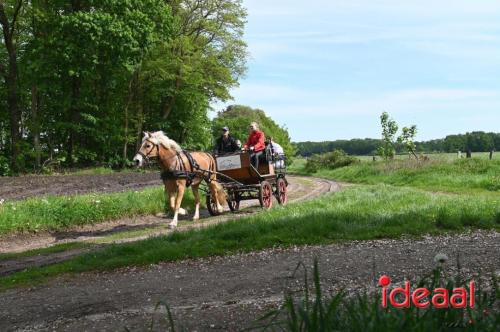 Barchemse Paarden meerdaagse (04-05-2024)