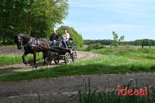 Barchemse Paarden meerdaagse (04-05-2024)