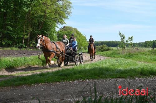 Barchemse Paarden meerdaagse (04-05-2024)