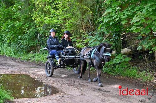 Barchemse Paarden meerdaagse (04-05-2024)