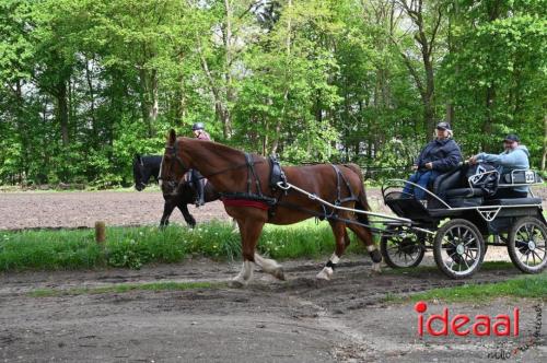 Barchemse Paarden meerdaagse (04-05-2024)