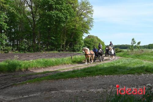 Barchemse Paarden meerdaagse (04-05-2024)