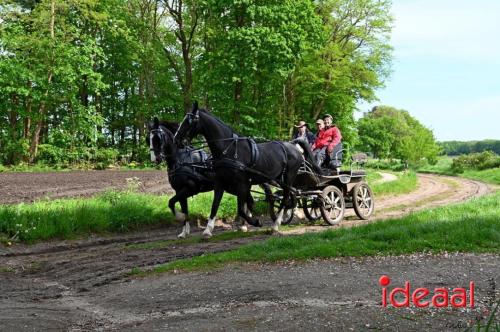 Barchemse Paarden meerdaagse (04-05-2024)