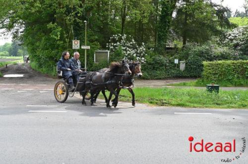 Barchemse Paarden meerdaagse (04-05-2024)