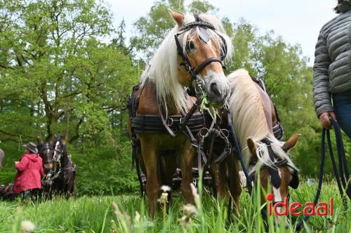 Barchemse Paarden meerdaagse (04-05-2024)
