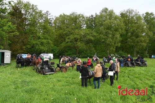 Barchemse Paarden meerdaagse (04-05-2024)