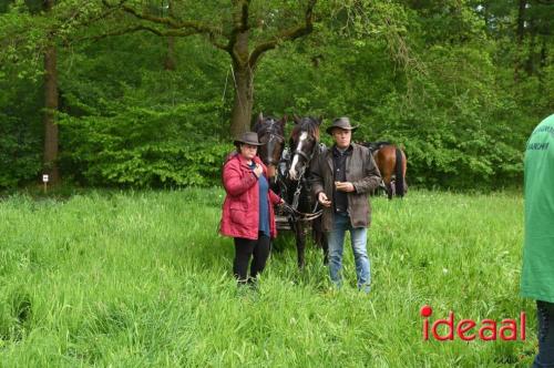 Barchemse Paarden meerdaagse (04-05-2024)