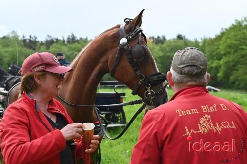 Barchemse Paarden meerdaagse (04-05-2024)