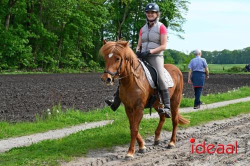 Barchemse Paarden meerdaagse (04-05-2024)