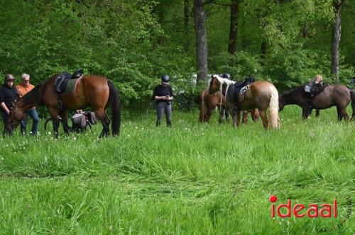 Barchemse Paarden meerdaagse (04-05-2024)