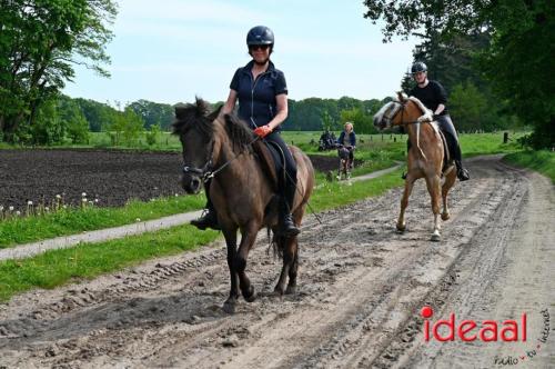 Barchemse Paarden meerdaagse (04-05-2024)