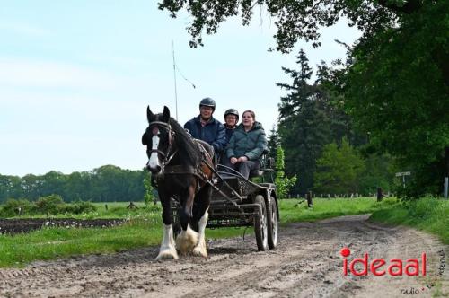 Barchemse Paarden meerdaagse (04-05-2024)