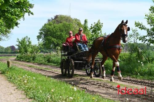 Barchemse Paarden meerdaagse (04-05-2024)