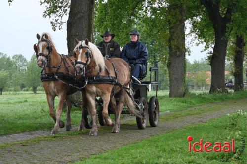 Barchemse Paarden meerdaagse (03-05-2024)