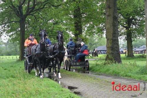 Barchemse Paarden meerdaagse (03-05-2024)