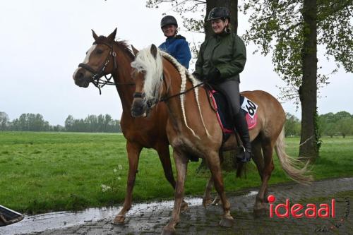 Barchemse Paarden meerdaagse (03-05-2024)