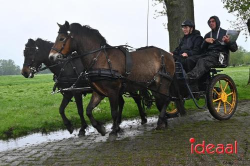 Barchemse Paarden meerdaagse (03-05-2024)