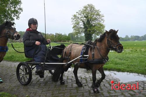 Barchemse Paarden meerdaagse (03-05-2024)