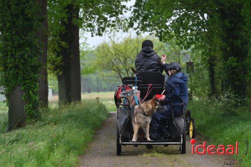 Barchemse Paarden meerdaagse (03-05-2024)