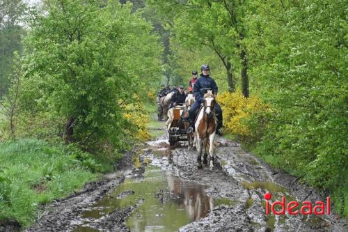 Barchemse Paarden meerdaagse (03-05-2024)