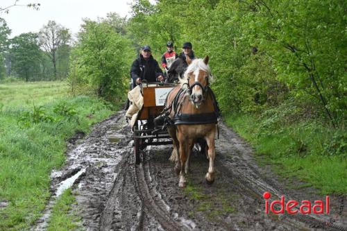 Barchemse Paarden meerdaagse (03-05-2024)