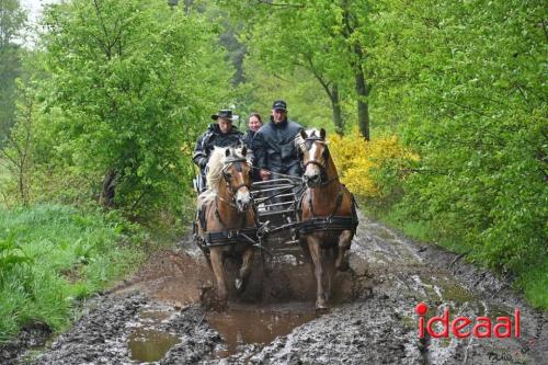 Barchemse Paarden meerdaagse (03-05-2024)