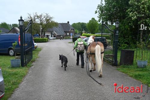 Barchemse Paarden meerdaagse (03-05-2024)