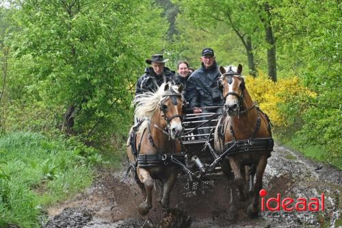 Barchemse Paarden meerdaagse (03-05-2024)