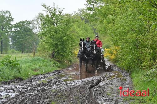 Barchemse Paarden meerdaagse (03-05-2024)
