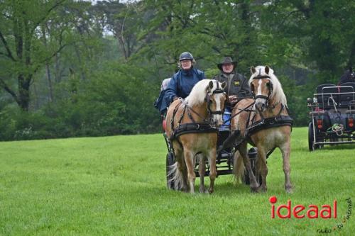 Barchemse Paarden meerdaagse (03-05-2024)