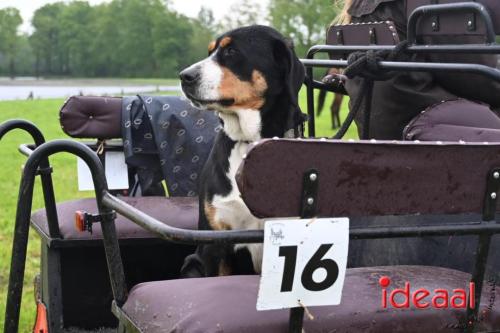 Barchemse Paarden meerdaagse (03-05-2024)