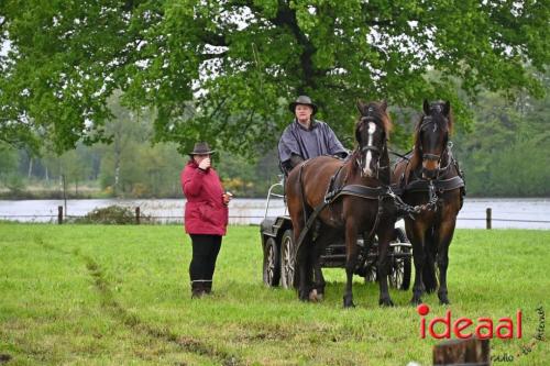 Barchemse Paarden meerdaagse (03-05-2024)