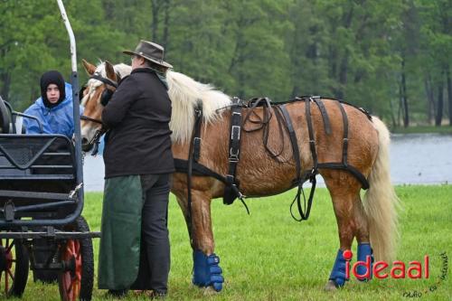 Barchemse Paarden meerdaagse (03-05-2024)