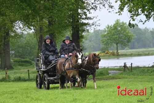 Barchemse Paarden meerdaagse (03-05-2024)