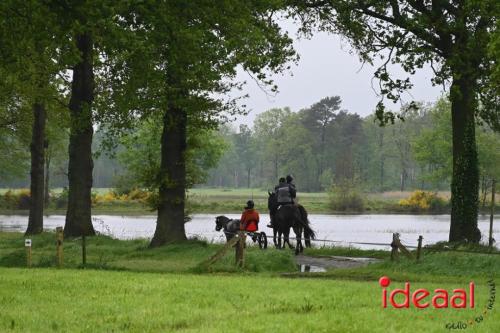 Barchemse Paarden meerdaagse (03-05-2024)