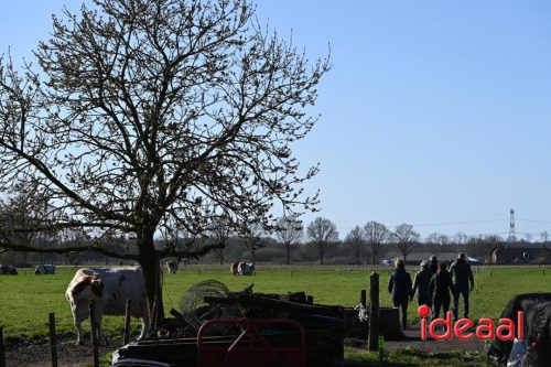 Plattelandswandeling Laren - deel 1 (29-03-2026)