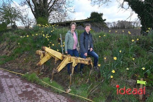 Plattelandswandeling Laren - deel 1 (29-03-2026)