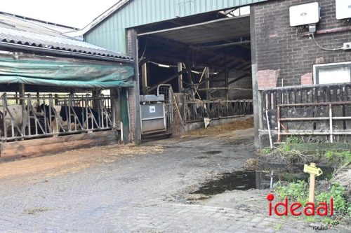 Plattelandswandeling Laren - deel 1 (29-03-2026)