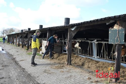 Plattelandswandeling Laren - deel 1 (29-03-2026)
