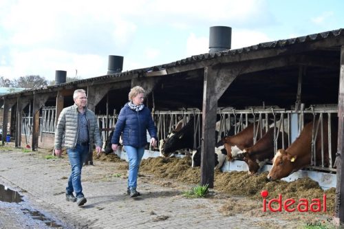 Plattelandswandeling Laren - deel 2 (29-03-2026)